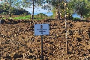 Vefat Eden Mezunumuz Fidan Dikim Etkinliği İle Anıldı